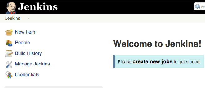 jenkins-initial-screen